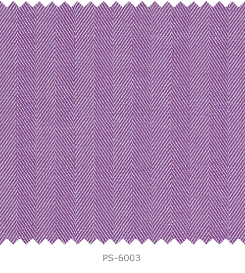 PS-6003