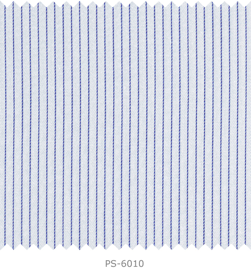 PS-6010