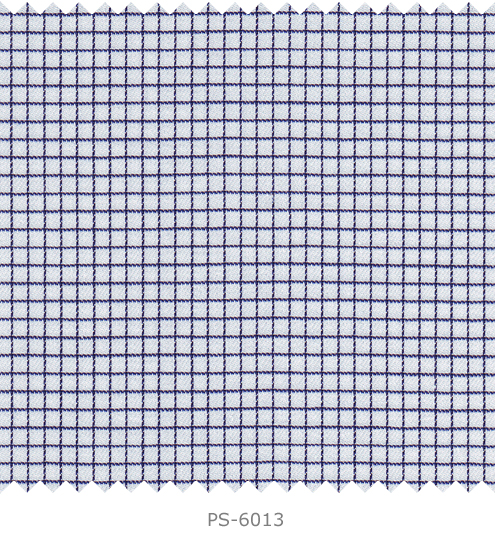 PS-6013