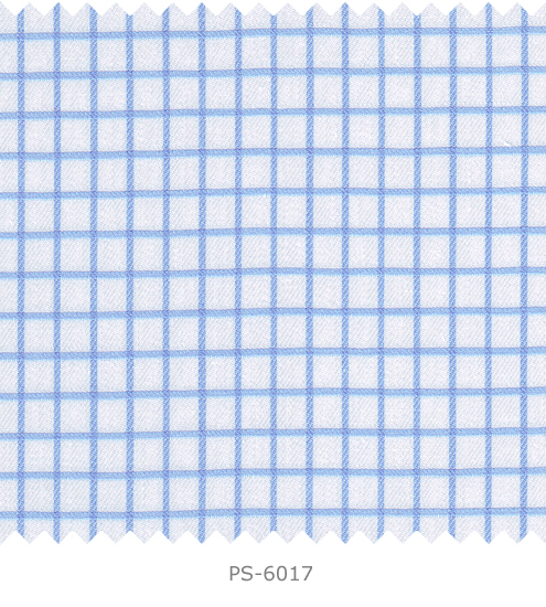 PS-6017