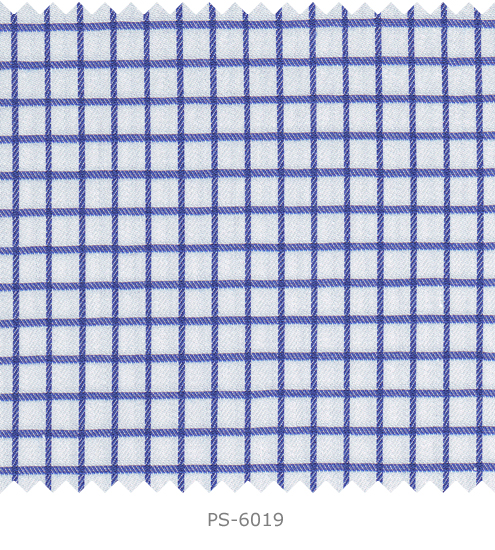 PS-6019