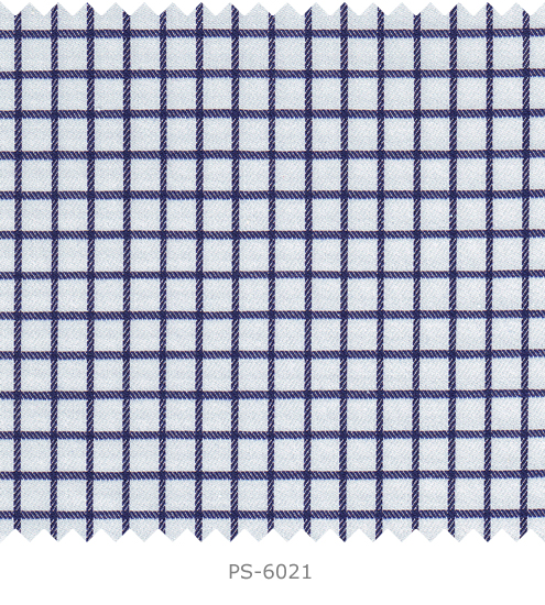 PS-6021