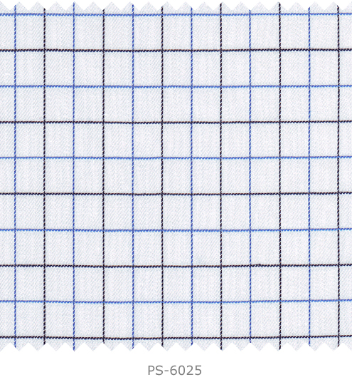 PS-6025
