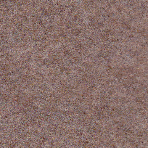 ovc_24